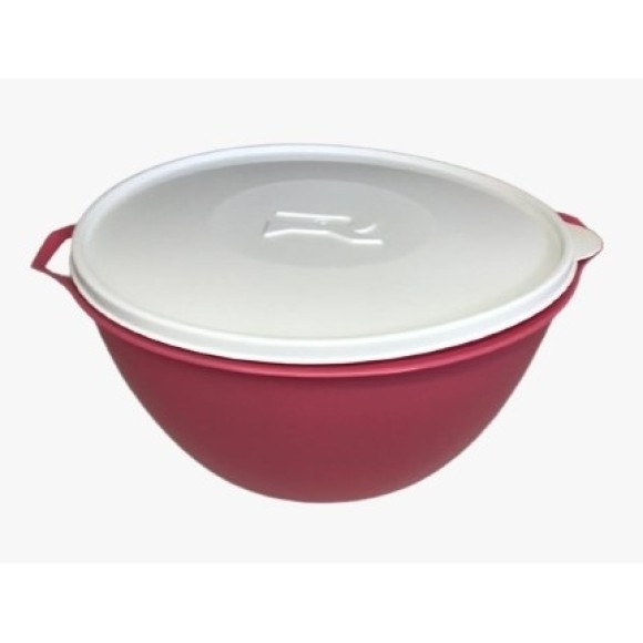 BACIA CORAL COM TAMPA TRANSPARENTE 5,5L UN. UAUPLAS