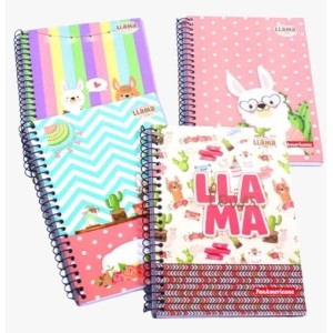 CADERNO 1/4 ESPIRAL CAPA DURA 96FLS NO DRAMA LLAMA UN.