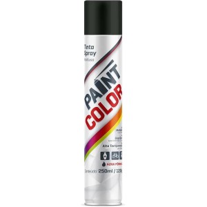 TINTA PAINTCOLOR 250ML A.T.PRETO FOSCA UN.