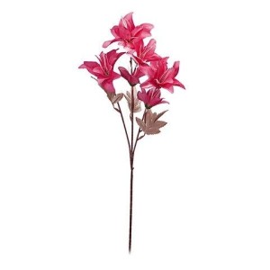 Haste Flor do Campo Varias Cores com 59cm 6 Flores